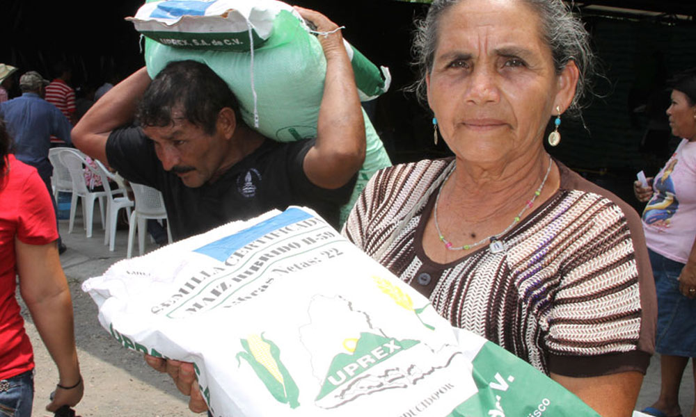 Cerca de 376 mil paquetes agrícolas entregados a familias productoras 