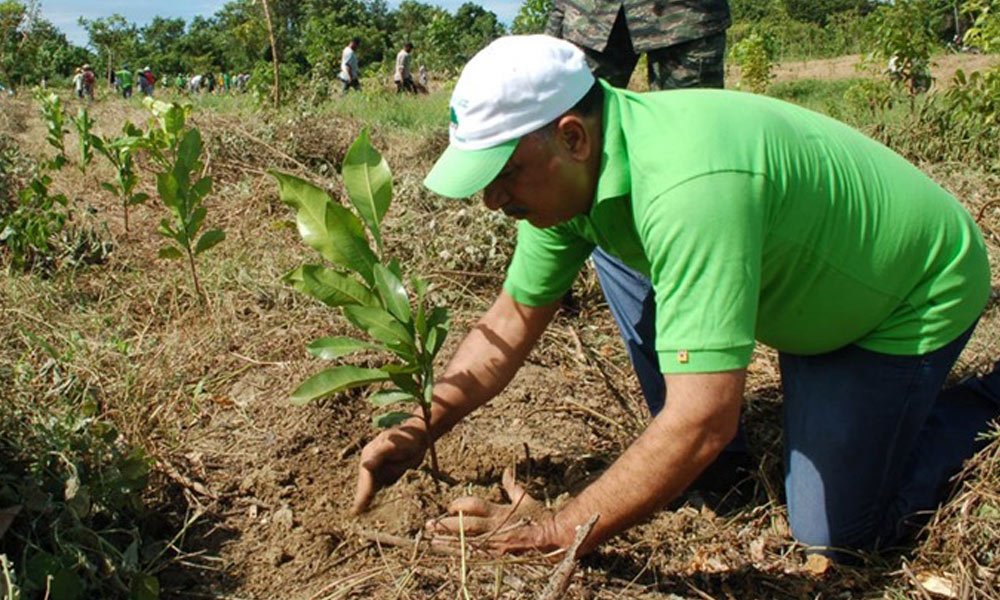 El Salvador presenta insumos para estrategia de restauración en Desafío Bonn 