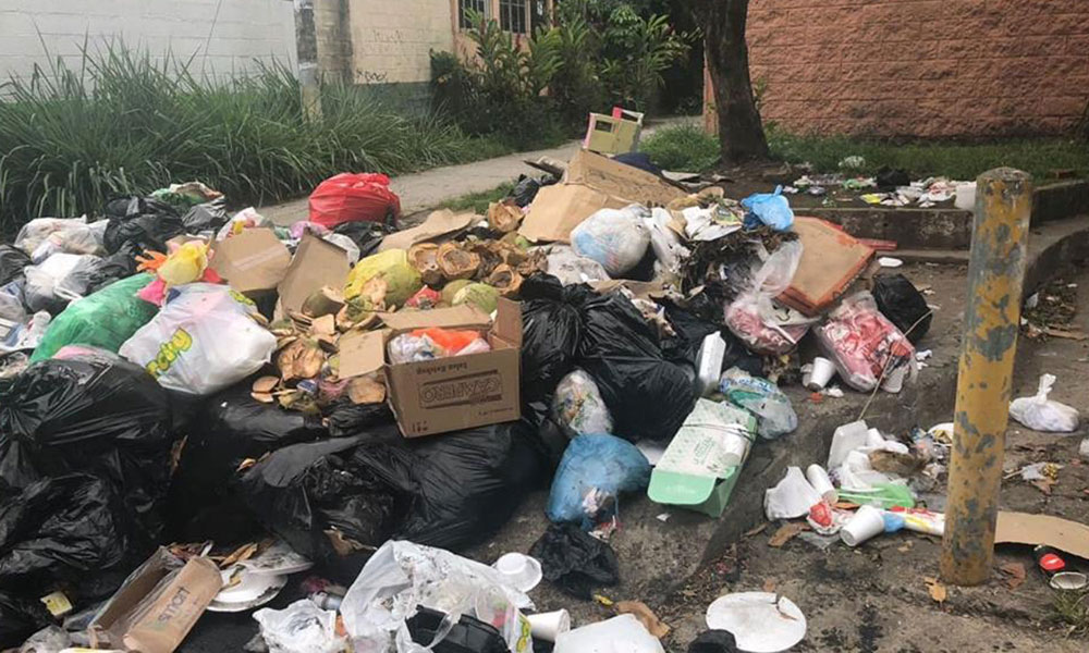 Crisis de insalubridad en Santa Tecla por no recolección de basura 