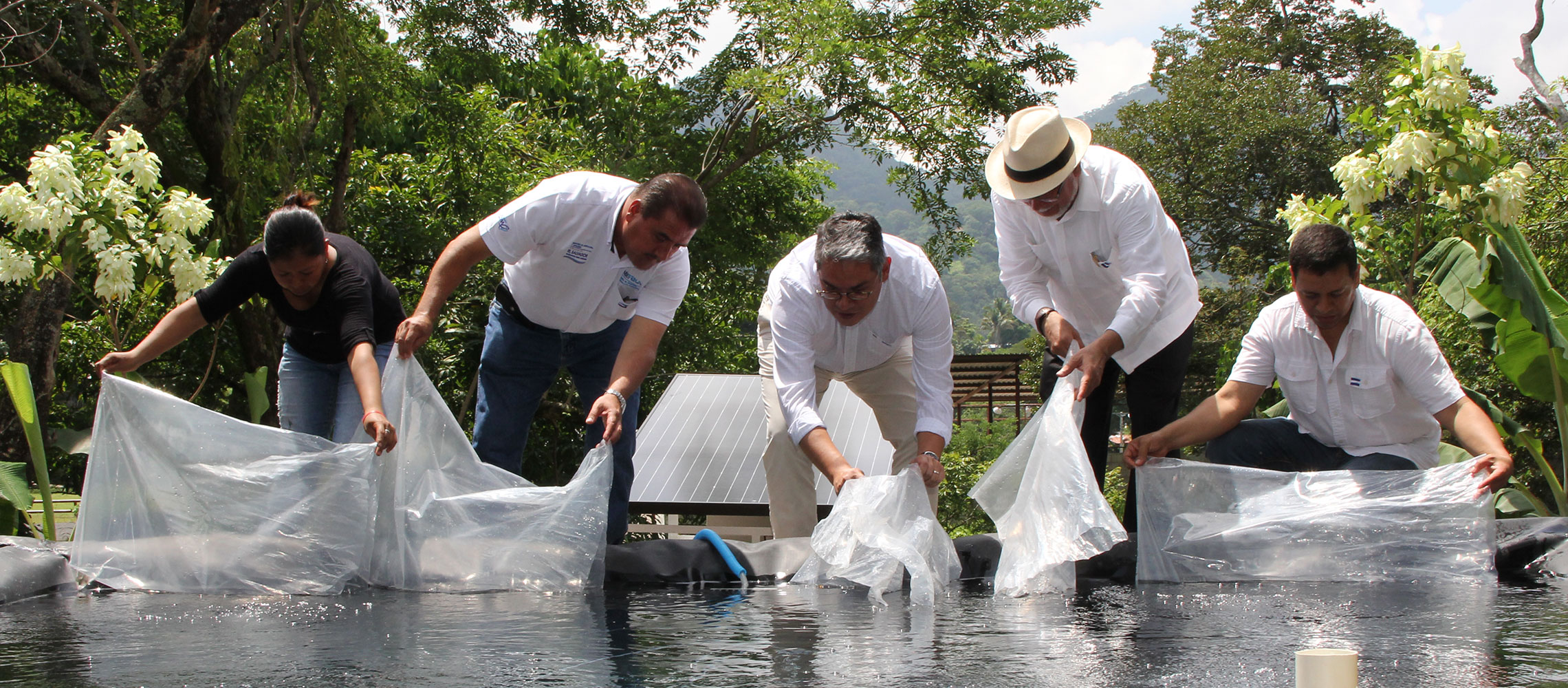 Conozca los cinco programas del MAG que elimina Bukele